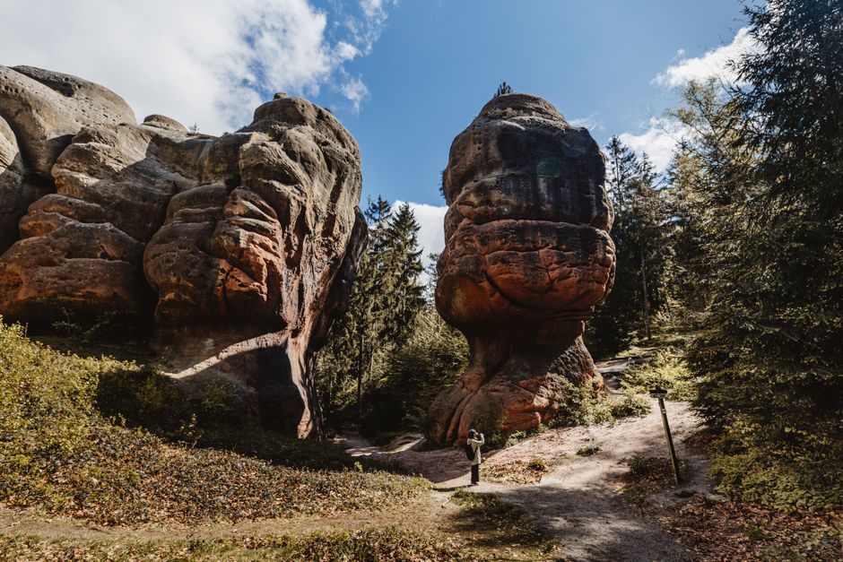 Урицький національний парк: маршрути для новачків — фото