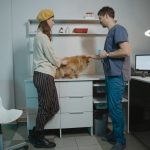 Ветеринарні клініки Львова: як обрати — Ветеринарна клініка у Львові: як обрати надійну