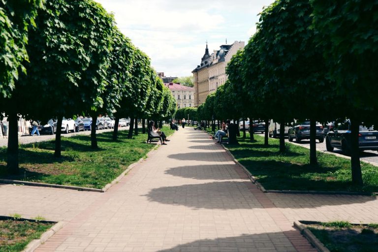 Літній Львів: куди піти в спеку — Літній Львів: куди піти в спеку