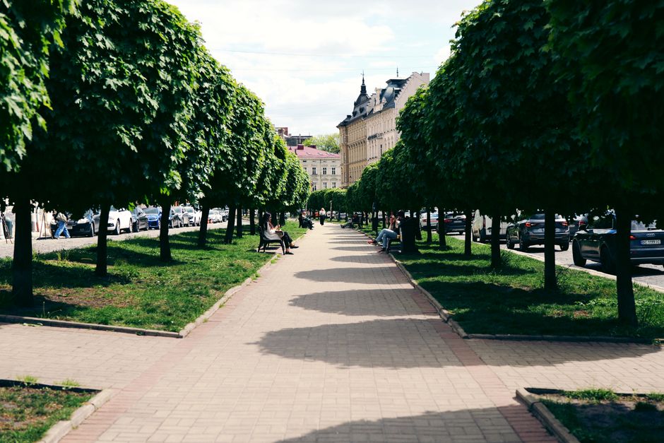Літній Львів: куди піти в спеку — Літній Львів: куди піти в спеку