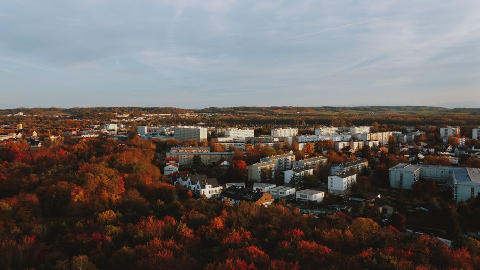 Винники і Брюховичі: житло за містом чи в місті — фото