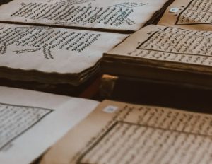 Львівська наукова бібліотека: цікаві факти про фонди — Львівська наукова бібліотека: що зберігають її фонди